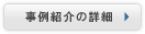 iЉ̏ڍ